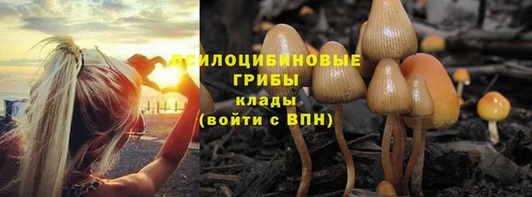 шишки Баксан
