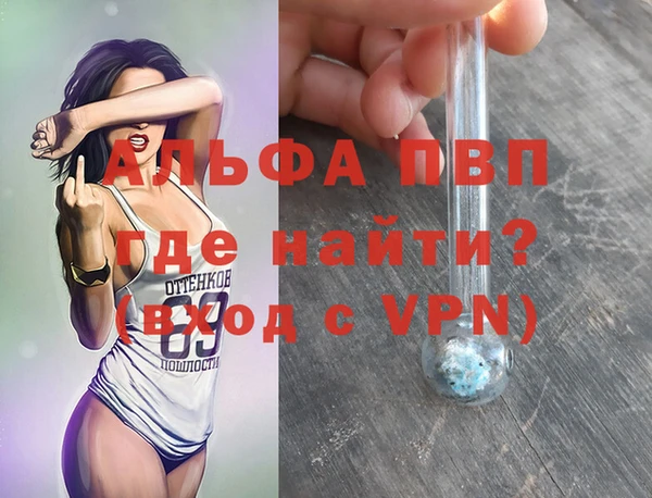 шишки Баксан