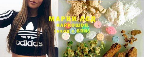 шишки Баксан