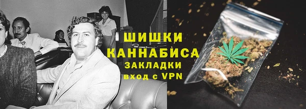 шишки Баксан